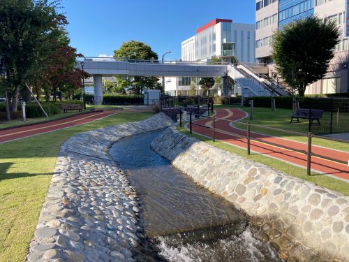 長野駅東口公園の鉄平石スリ