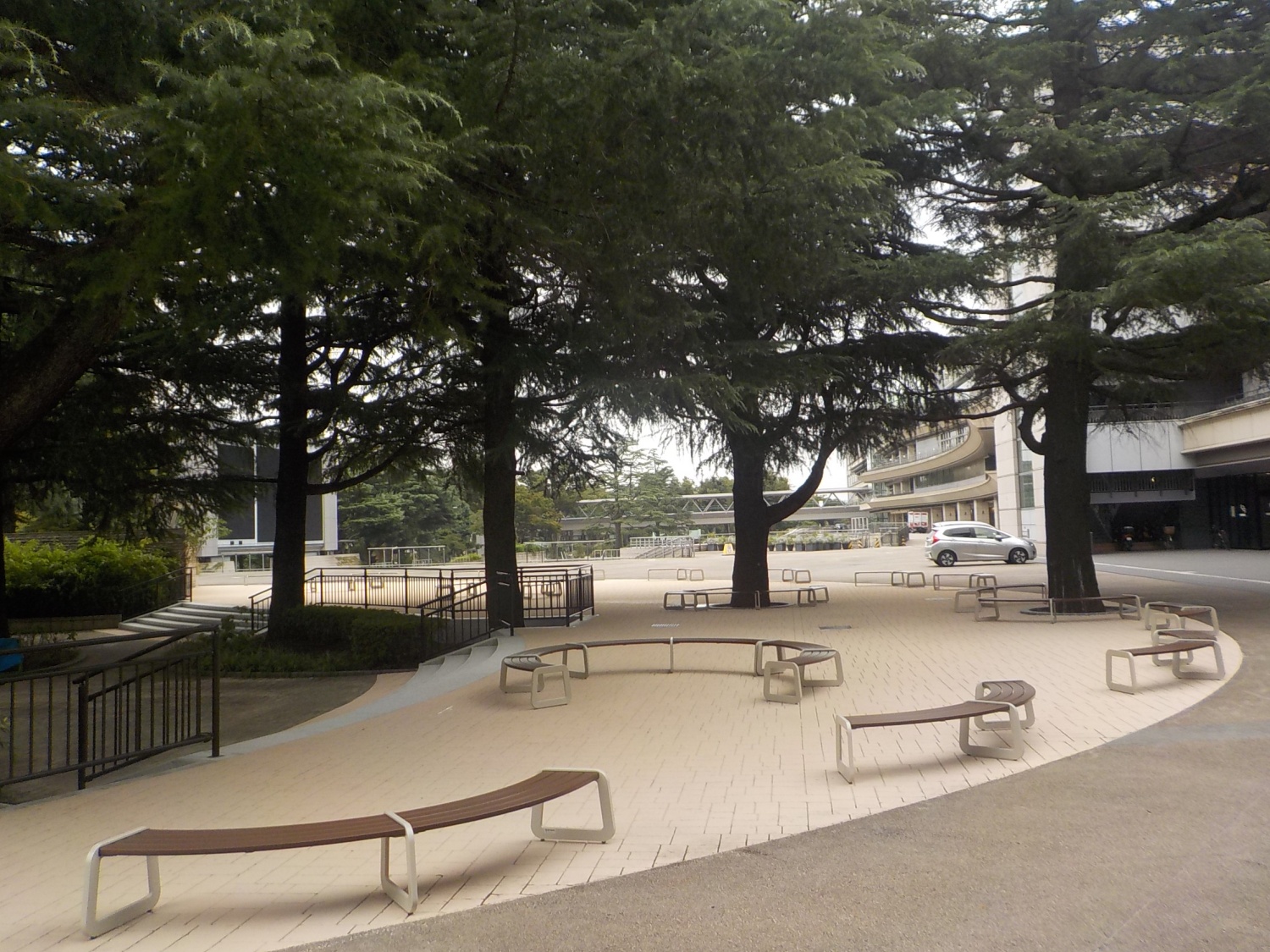 東京競馬場のツリーサークルの御影石