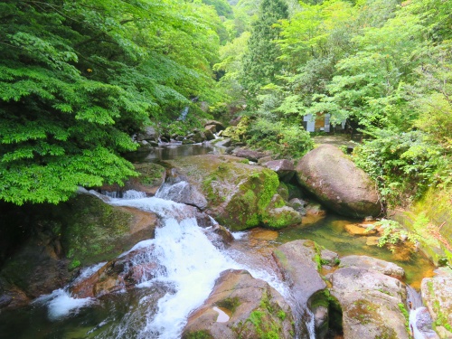 白谷雲水峡トレッキング