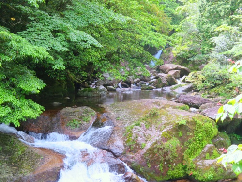 白谷雲水峡トレッキング