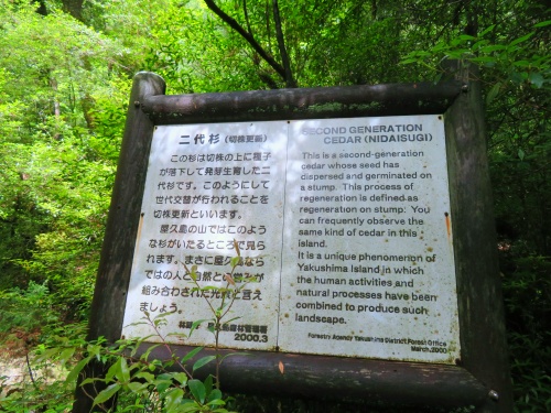 白谷雲水峡トレッキング