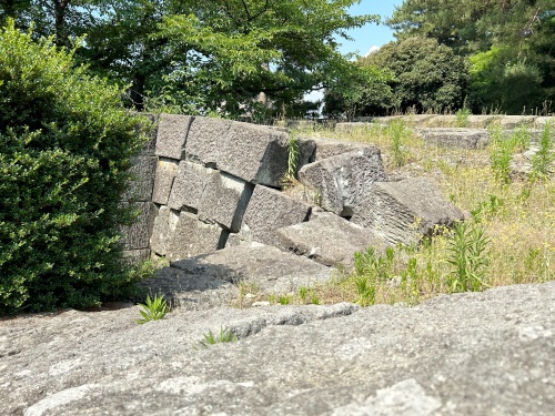 『地味にすごい福井』は魅力いっぱい、恐竜がお出迎え、福井城の石垣