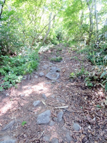 長野県中野市にある高社山