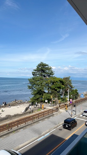 夏は海に行こう