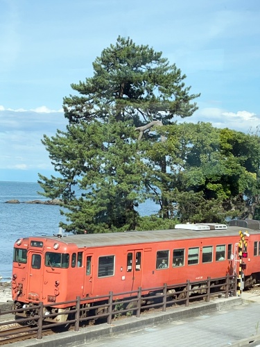 夏は海に行こう