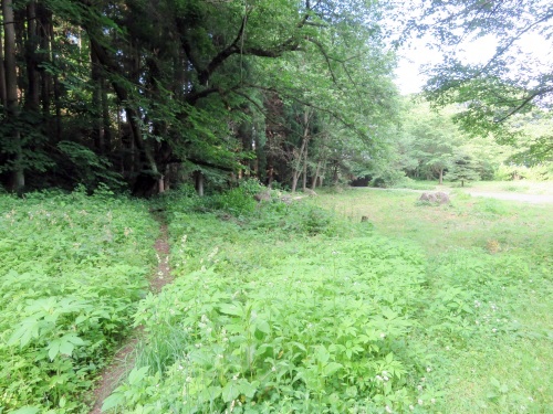 長野県中野市にある高社山