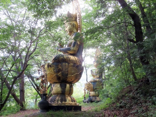 長野県中野市にある高社山