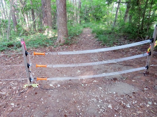 長野県中野市にある高社山