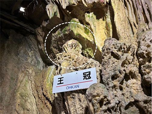 両面宿難の里に輝く石の王冠