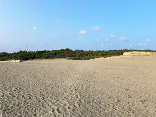 静岡県御前崎市の浜岡砂丘