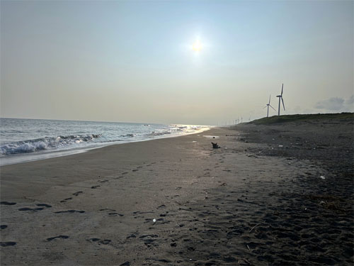 静岡県御前崎市の浜岡砂丘