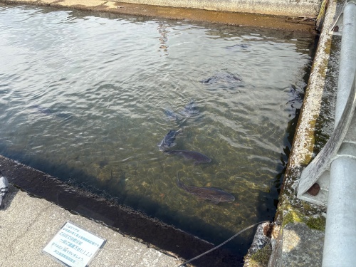 芦ノ湖と箱根駅伝
