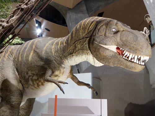 息子の誕生日、草津でほっこり旅