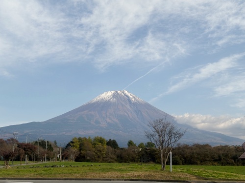 伊豆の踊子も越えた 九十九折り浄蓮の滝