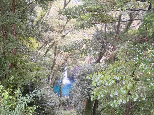 伊豆の踊子も越えた 九十九折り浄蓮の滝