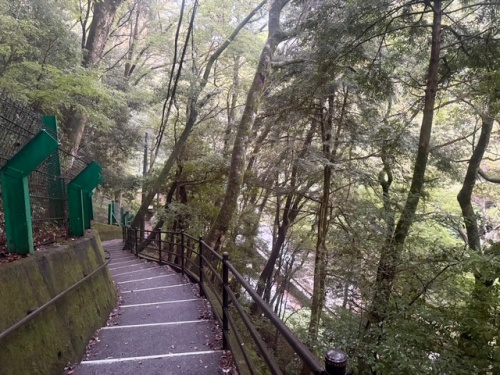 伊豆の踊子も越えた 九十九折り浄蓮の滝