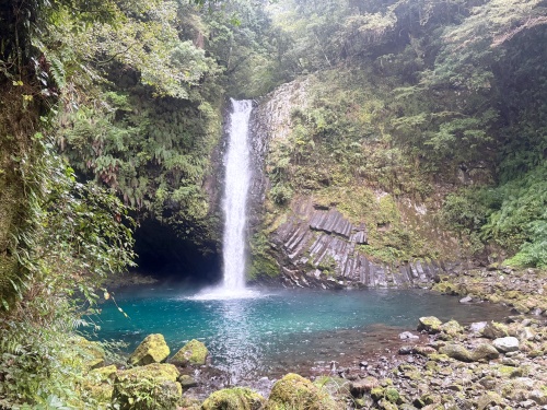 伊豆の踊子も越えた 九十九折り浄蓮の滝