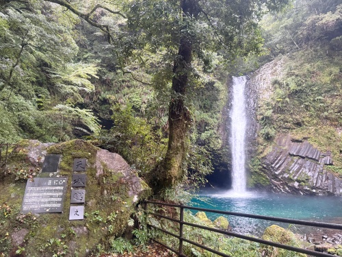 伊豆の踊子も越えた 九十九折り浄蓮の滝