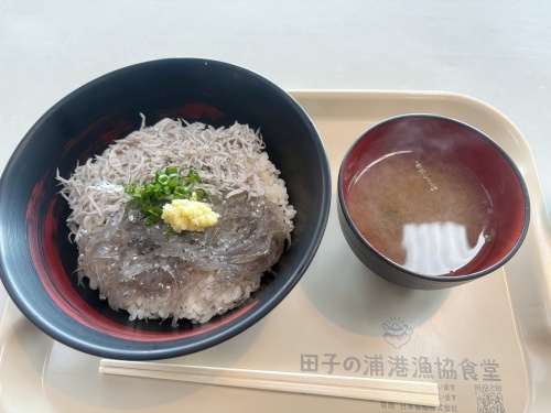 静岡県富士市、田子の浦漁港 リアル万葉集体験