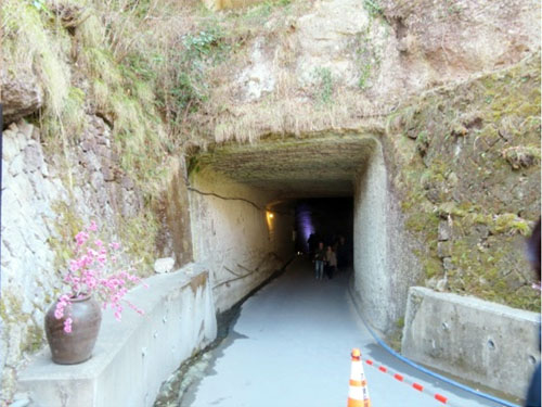 栃木県の大谷遺跡