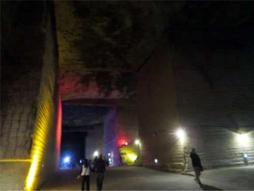 栃木県の大谷遺跡