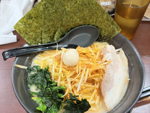 愛知県岡崎市と三重県の長島スパーランドへ旅行
