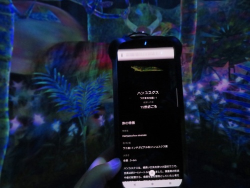 チームラボプラネッツ