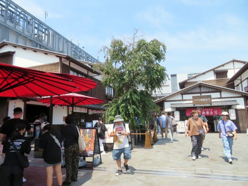 豊洲市場