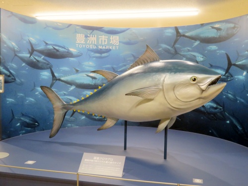 豊洲市場