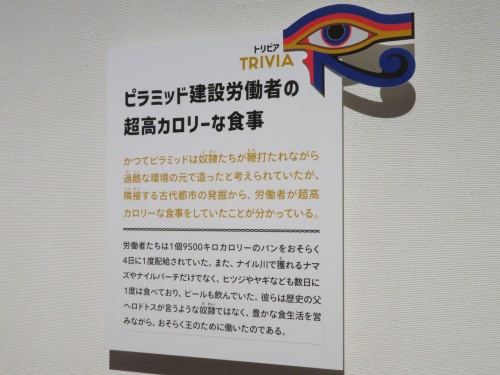 古代エジプト展