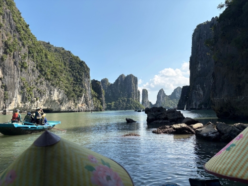 ベトナムび世界遺産ハロン湾「Hạ Long」の闘鶏岩（とうけいがん）