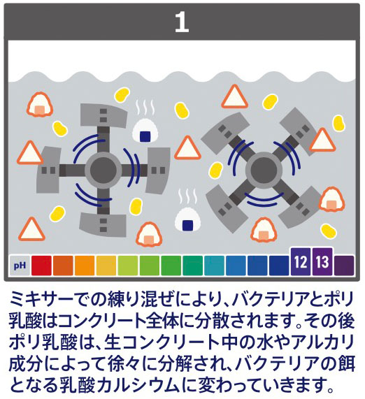 バジリスク　バクテリアを利用したコンクリートの自己治癒システム