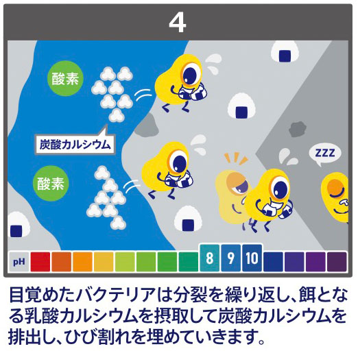 バジリスク　バクテリアを利用したコンクリートの自己治癒システム