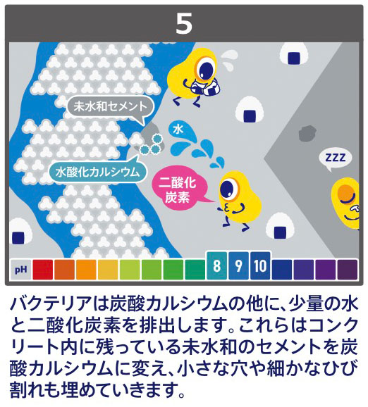 バジリスク　バクテリアを利用したコンクリートの自己治癒システム