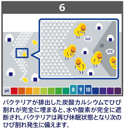 バジリスク　バクテリアを利用したコンクリートの自己治癒システム