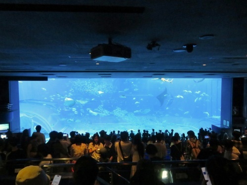 沖縄 美ら海水族館