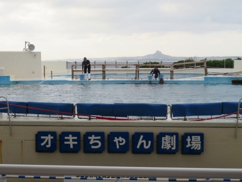 沖縄 美ら海水族館