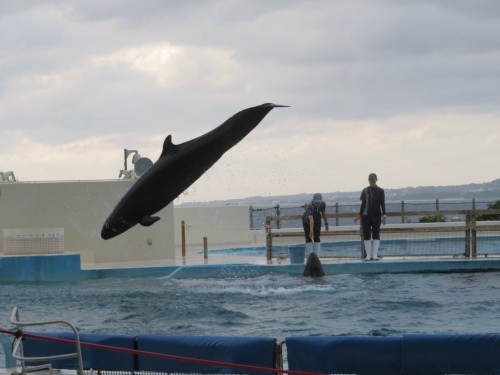 沖縄 美ら海水族館