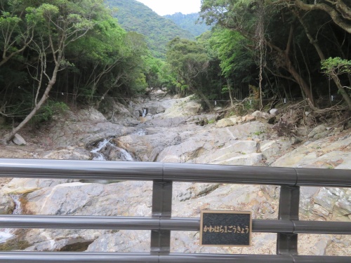 屋久島ドライブ