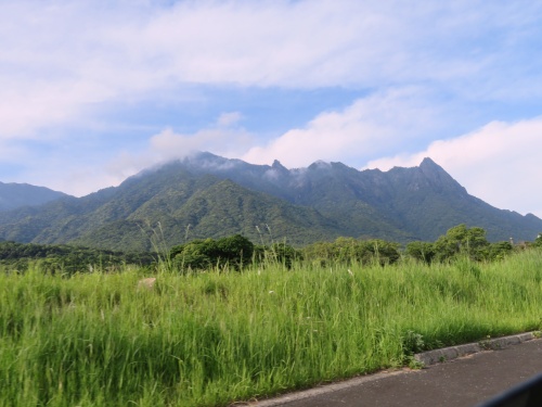 屋久島ドライブ