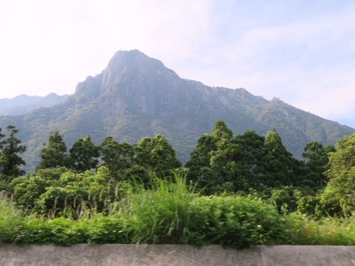 屋久島ドライブ