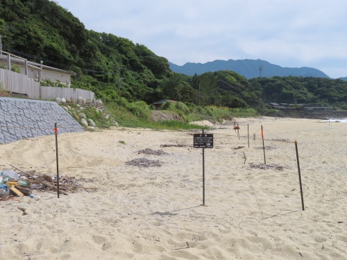 屋久島ドライブ