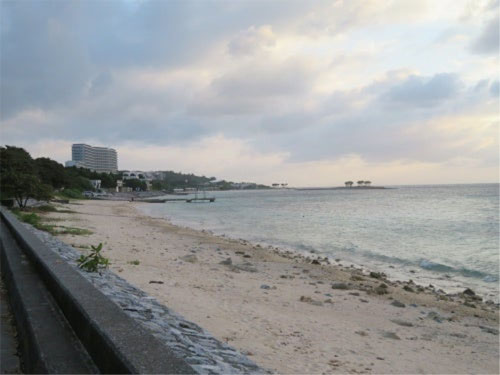 沖縄 フクギ並木