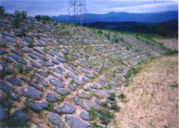 河川護岸ブロック ビオロック