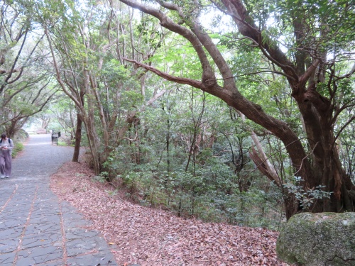 千尋の滝　屋久島