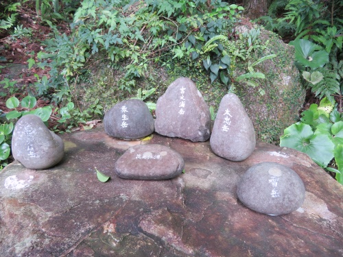 千尋の滝　屋久島