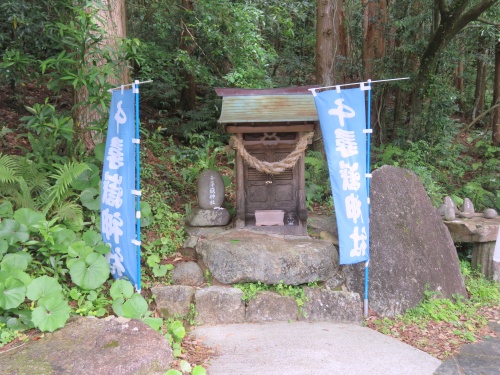 千尋の滝　屋久島