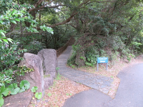 千尋の滝　屋久島